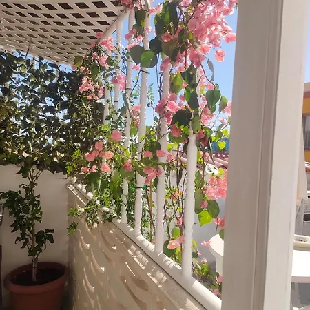 Alba 2 Y Alba 3 Con Bano Hotel apartamentowy Puerto del Rosario (Fuerteventura)