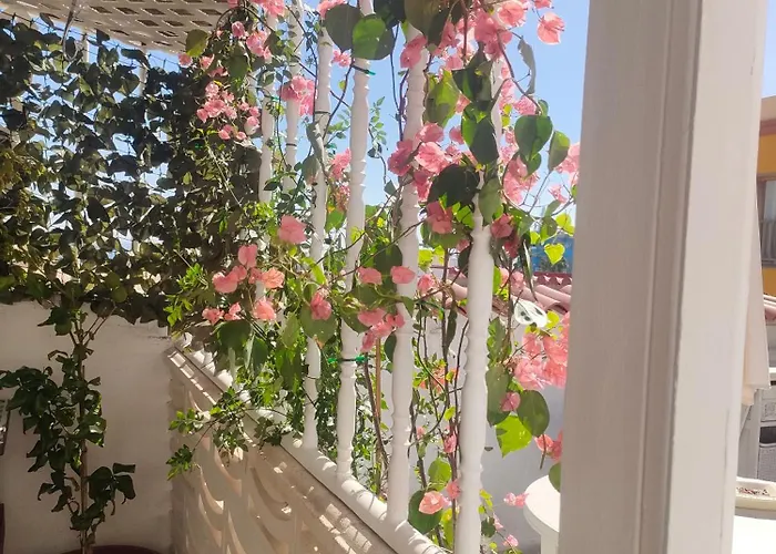 Alba 2 Y Alba 3 Con Bano شقة فندقية بويرتو ديل روزاريو